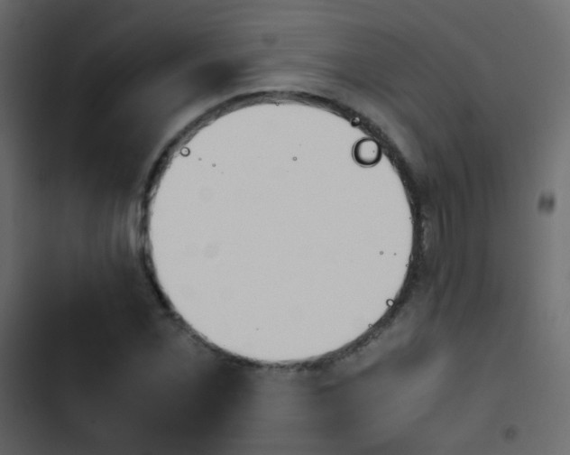 X0000103901069200809191050