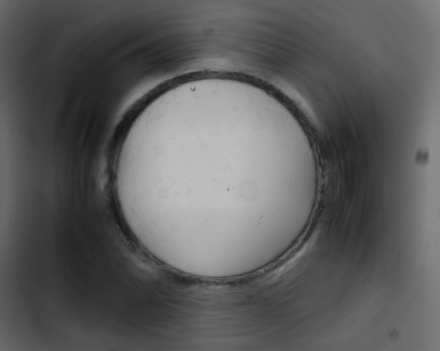 X0000103901070200809191050