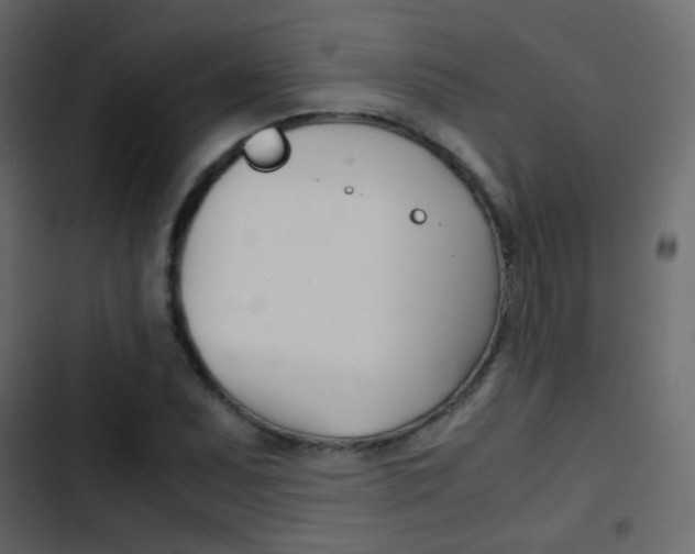 X0000103901071200809191050