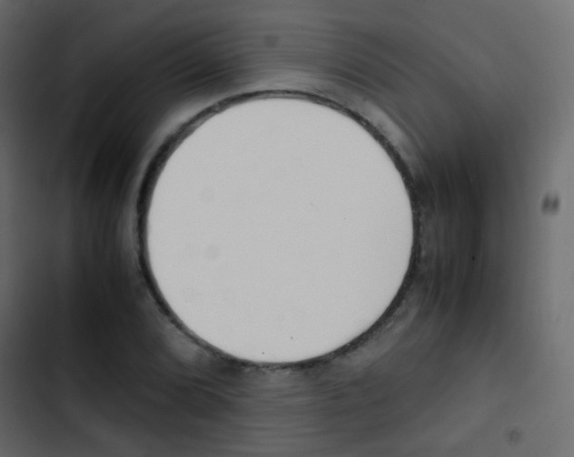 X0000103901072200809191050