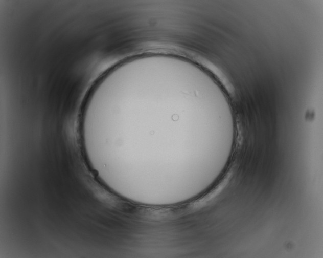 X0000103901074200809191050