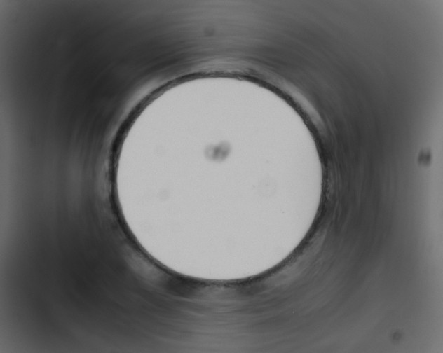 X0000103901075200809191050