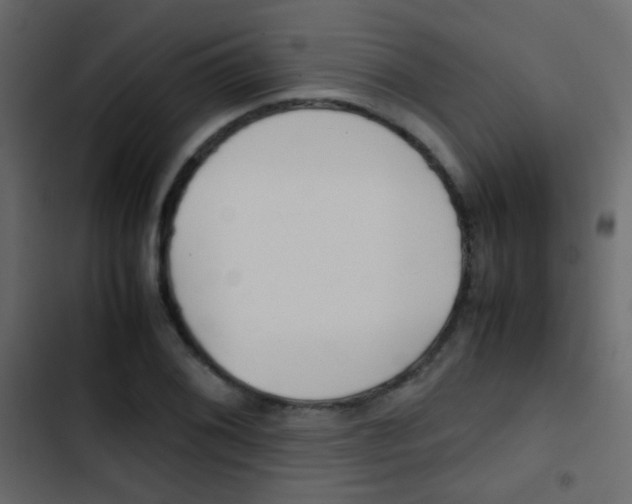 X0000103901076200809191050