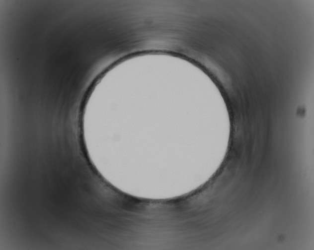 X0000103901077200809191050