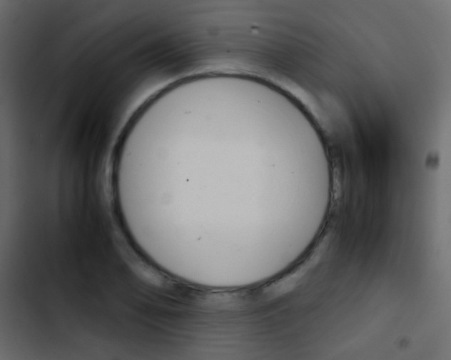 X0000103901078200809191050