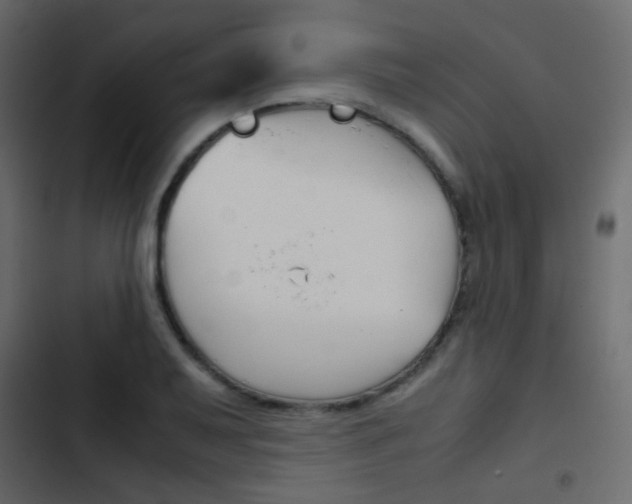X0000103901079200809191050