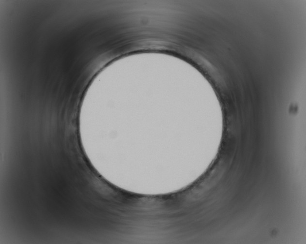 X0000103901081200809191050