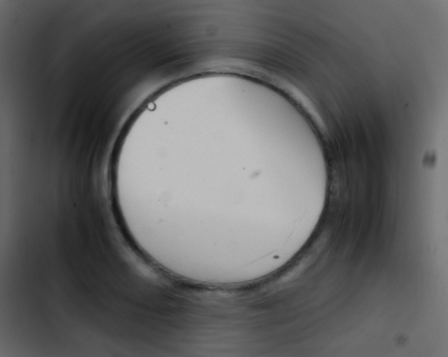 X0000103901082200809191050