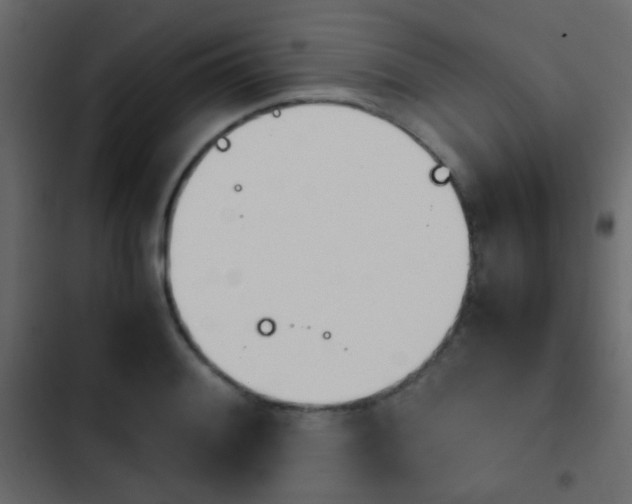 X0000103901084200809191050