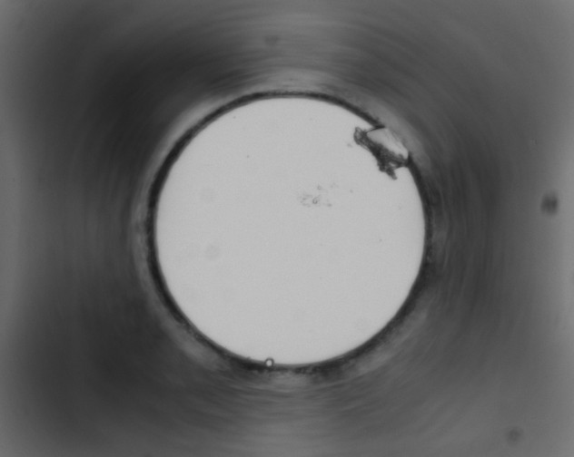 X0000103901085200809191050
