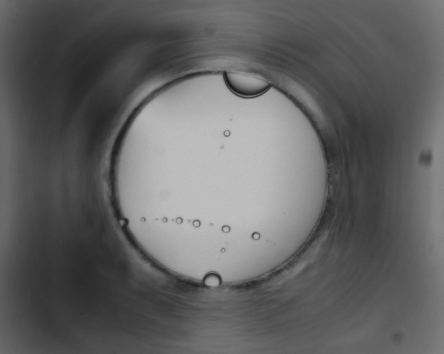 X0000103901087200809191050