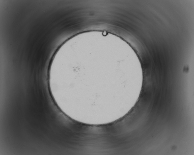 X0000103901088200809191050