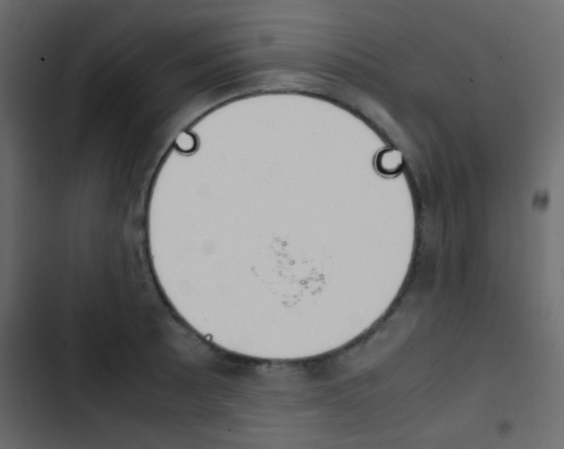 X0000103901089200809191050