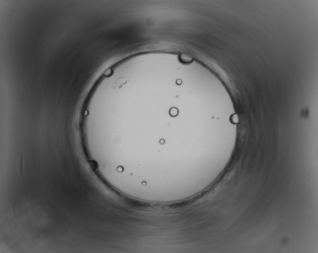 X0000103901091200809191050