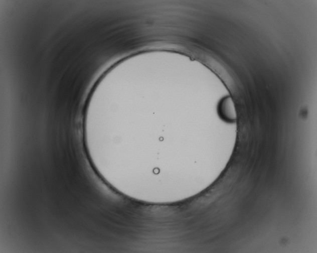 X0000103901092200809191050