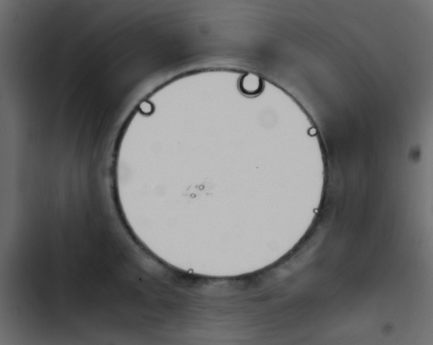 X0000103901093200809191049