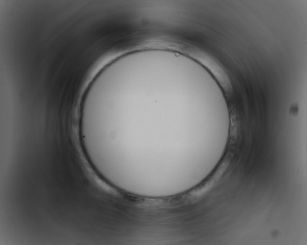 X0000103901094200809191049