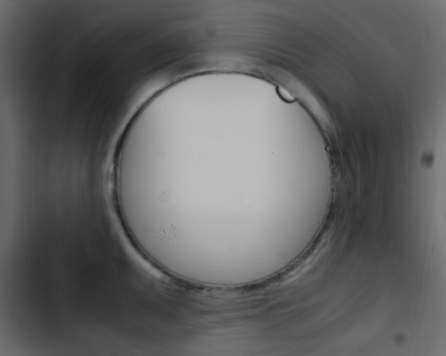 X0000103901095200809191049