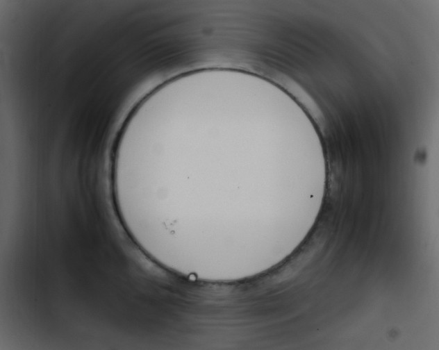 X0000103901096200809191049