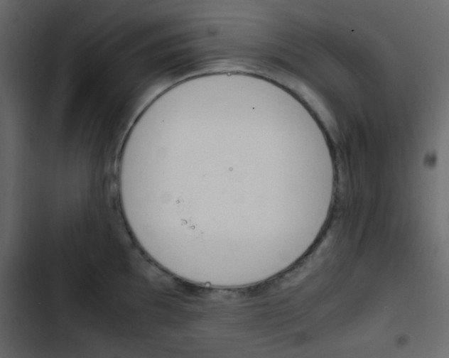X0000103901097200809191049