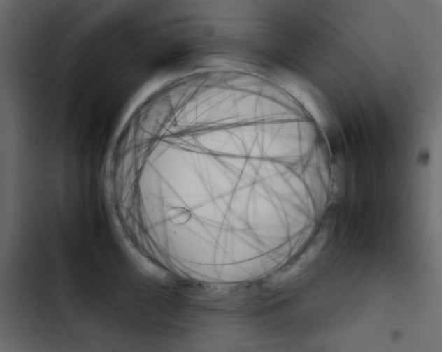 X0000103901098200809191049