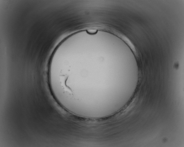 X0000103901099200809191049