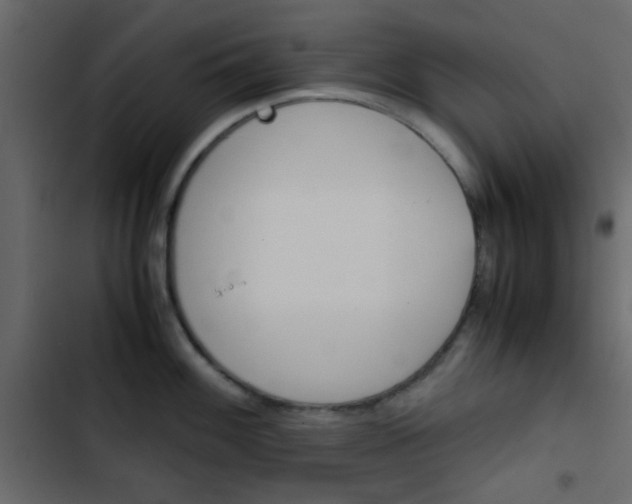 X0000103901100200809191049