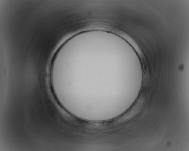 X0000103901101200809191049
