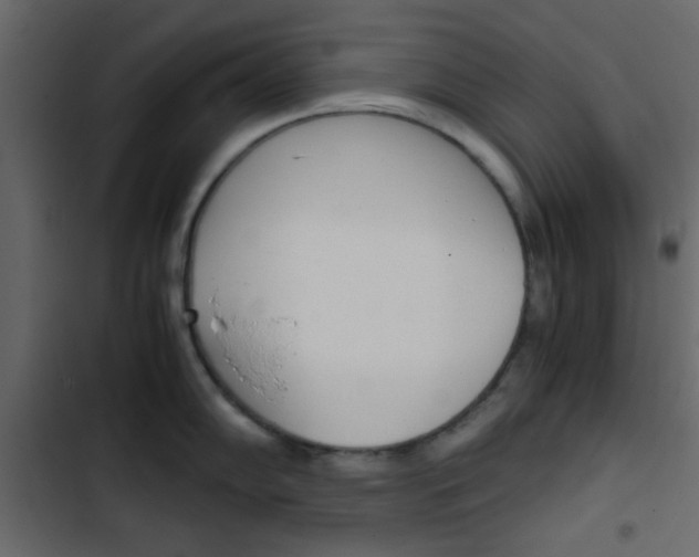 X0000103901102200809191049