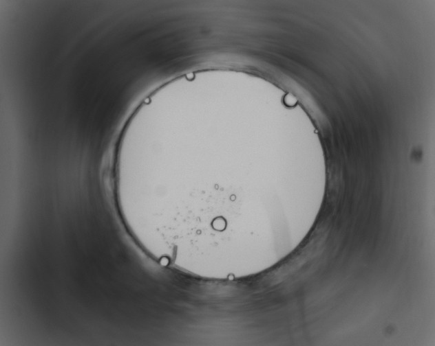 X0000103901103200809191049