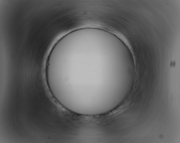 X0000103901104200809191049