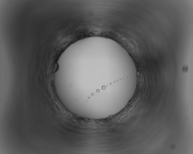 X0000103901105200809191049
