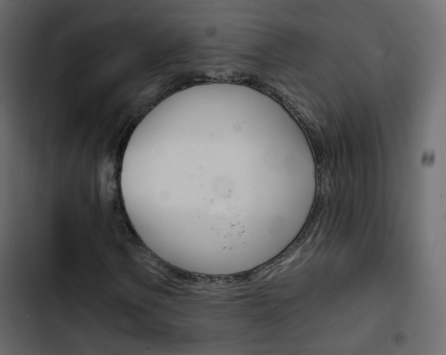 X0000103901106200809191049