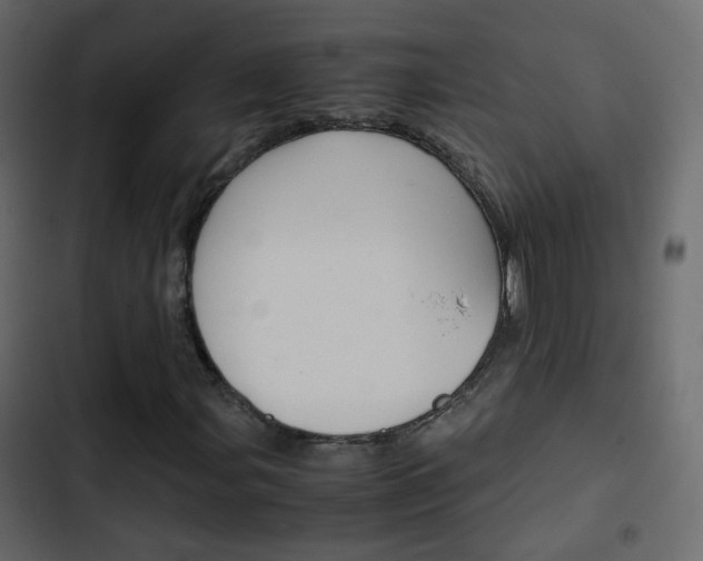 X0000103901107200809191049