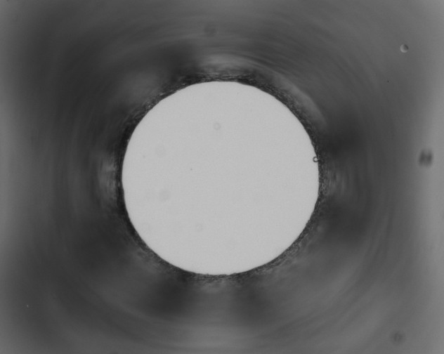 X0000103901108200809191049