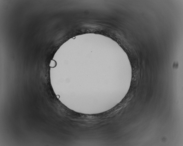 X0000103901109200809191049
