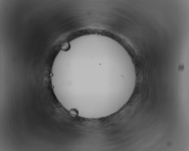 X0000103901110200809191049