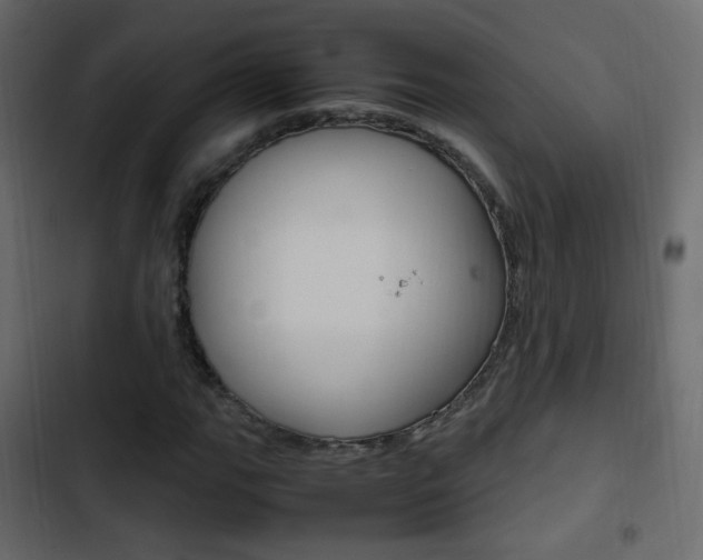 X0000103901111200809191049