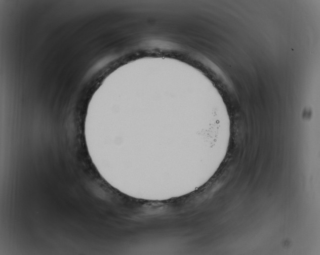 X0000103901112200809191049