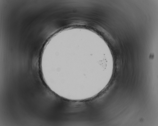 X0000103901113200809191049