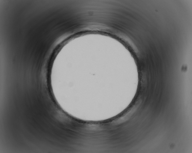 X0000103901114200809191049