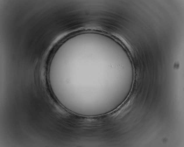 X0000103901115200809191049