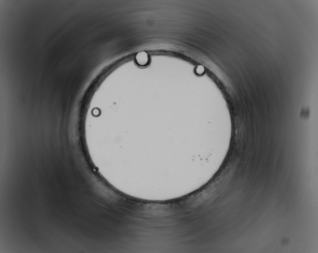X0000103901116200809191049