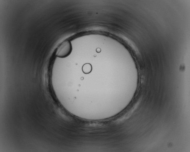 X0000103901117200809191049