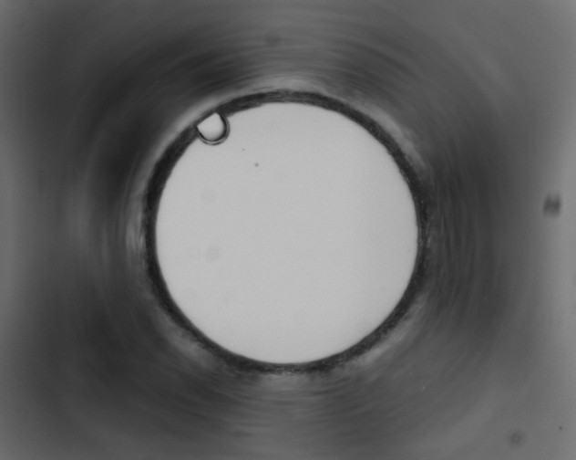 X0000103901118200809191049