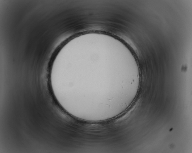 X0000103901119200809191049