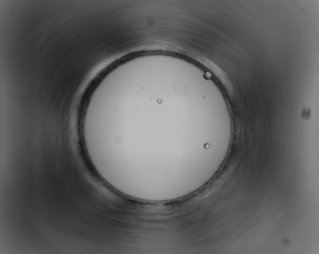X0000103901120200809191049