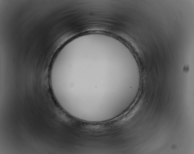X0000103901121200809191049