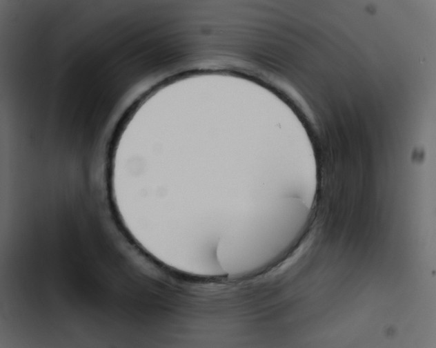 X0000103901122200809191049