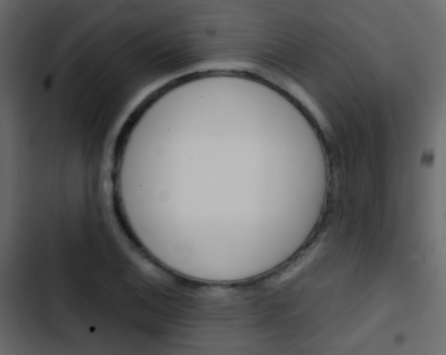 X0000103901124200809191049